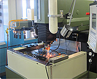 p61